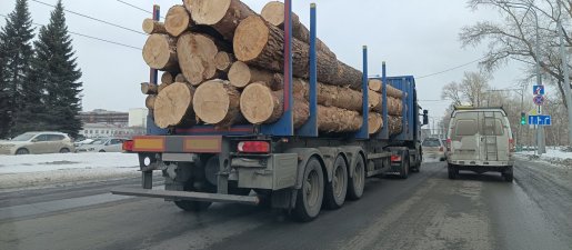 Поиск транспорта для перевозки леса, бревен и кругляка стоимость услуг и где заказать - Майкоп